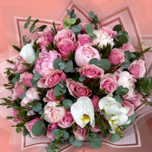 Pembe Güller & Pembe Şakayıklar